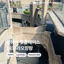 루이비똥돼지&소 | 상하이 핫플이 된 도축장 1933라오창팡, 브루탈리즘의 정수