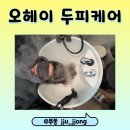 오헤이(Ohey) | [대구 동구] 친절 + 가성비까지 갖춘!! 임산부도 가능한 오헤이 두피케어 OHEY