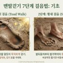 자연과치유 이미지