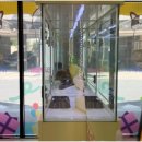 구미강아지분양 애견미용 마마스미독 | 구미애견분양 찾는다면 마마스미독 대구 본점