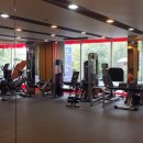 이코리아PTGYM 이미지