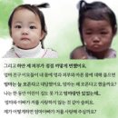 정인태권도 이미지