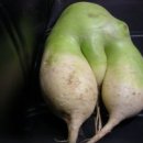 무우와 이미지