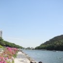 서천무지개분수대 이미지