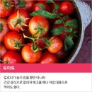 베스트푸드 이미지