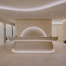 플래뉴의원 이미지