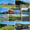 스카이골프 이미지