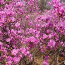 은지초등학교 이미지