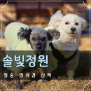 솔빛공원 | 소노벨청송 근처 청송 솔빛정원 애견동반x