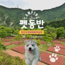 정선군생태체험학습장캠핑장 이미지