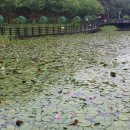 강남3급정비 이미지