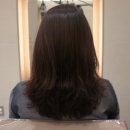 헤어이즈(Hairease)