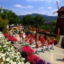 곡성-252 Daum카페