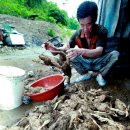 임동빈농장 이미지