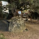 진건오남로797번길21-15 이미지