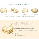 유한회사 블루팩토리 | [일본 한정 과자] 도쿄 밀크 치즈 팩토리 콰트로 치즈 쿠키, 바닐라 마스카르포네 쿠키 후기