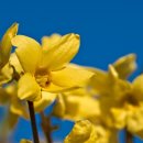 홍예공원로 이미지