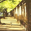 꽃과 그늘 이미지