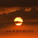 구산-017 이미지