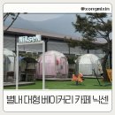 불암산로 | 별내 카페 추천 추운 날에도 야외 좌석 가능한 대형 베이커리 카페 닉센 후기