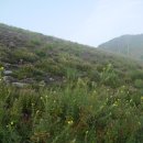 뚝방게스트하우스 이미지