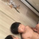 연종캠핑장 이미지