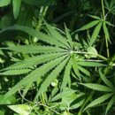 베스트 타워 이미지