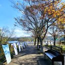 수림공원 이미지