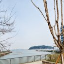 [바다앞테라스] 인천 오션뷰 카페 / 영종도 구읍뱃터 카페 / 포토존