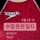 횡성군 체육관 수영장 이미지