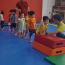 운천 유아태권도 이미지