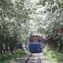 구렛들1길 이미지