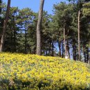 피자를 피자답게 본점 이미지