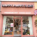 해피퍼피스데이 이미지