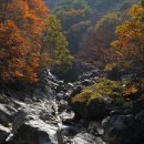 NR-25[보청대로]-하-80 | EOS 7D 로 담아본 지리산 노고단 일출과 뱀사골 단풍 사진 (에시이 형식)