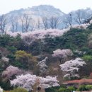 와룡공원길 이미지