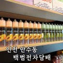 백범전자담배 이미지
