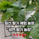 성연농장 이미지