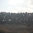 제주 올레길 1-1코스 이미지