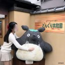 청수사 | 오사카 교토 일일 버스투어, 아라시야마 금각사 여우신사 청수사 내돈내산 후기