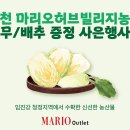 지산농장2 이미지