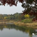 드까르멜릿 이미지