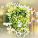 서울영희초등학교 이미지