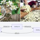 서구-02-73 이미지