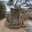 소나무숲 | 충북 괴산 조령산자연휴양림 복합휴양관 이용 후기, 소나무숲이 너～무 좋다.