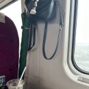 부산역지하도상가 | 부산 1박 2일 뚜벅이 먹방 여행 코스 일정 총 정리