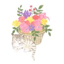 남구-122 이미지