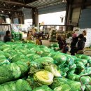 농산물시장4 이미지