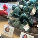 용산-416 | [서울/용산] 서울역 직장인 점심추천ㅣ한정선 찹쌀떡 내돈내산 두쫀쿠/두쫀모 후기.