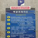 남도제철음식점 | [분당 산낙지 쭈꾸미 맛집] 분당 정자동 여름 보양식으로 산낙지 철판볶음 먹은 솔직후기